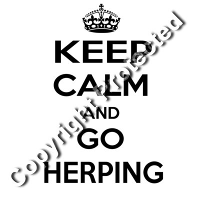 Keep calm and go herping