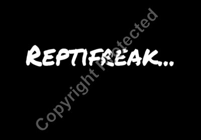 Reptifreak...