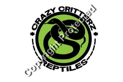 Crazy Critterz Logo